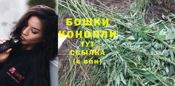 мдпв Мегион