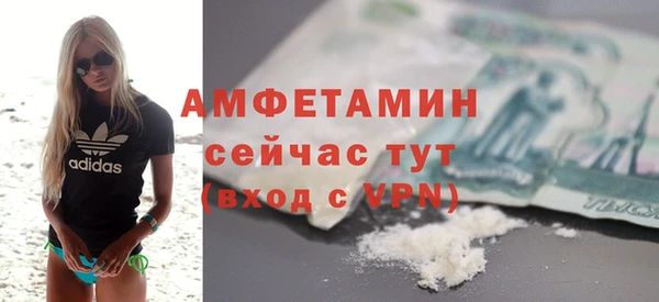 стаф Медногорск