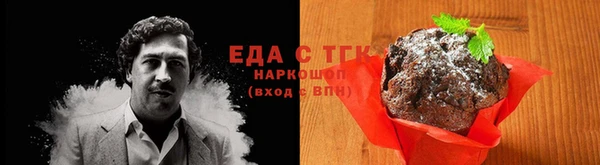 стаф Медногорск