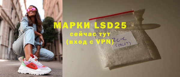 ПСИЛОЦИБИНОВЫЕ ГРИБЫ Медвежьегорск