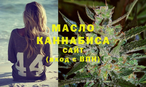 стаф Медногорск