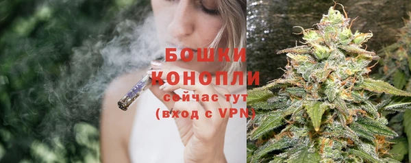 ПСИЛОЦИБИНОВЫЕ ГРИБЫ Медвежьегорск