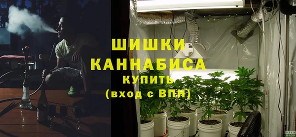 ПСИЛОЦИБИНОВЫЕ ГРИБЫ Медвежьегорск