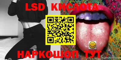шишки Гай