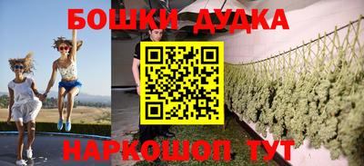 шишки Гай