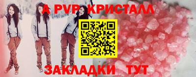 шишки Гай