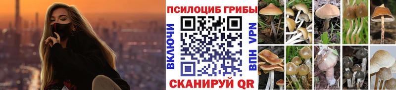 как найти закладки  Соликамск  Галлюциногенные грибы Psilocybine cubensis 
