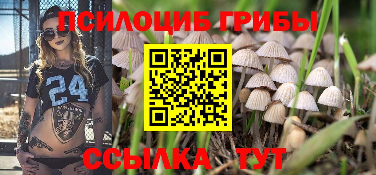 Псилоцибиновые грибы Psilocybine cubensis  купить наркоту  Соликамск 