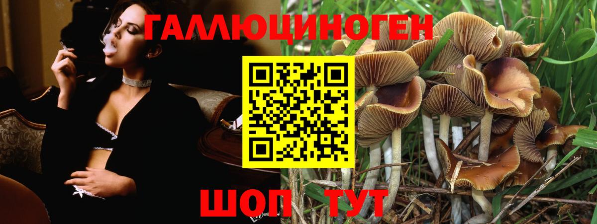 Галлюциногенные грибы Cubensis Соликамск